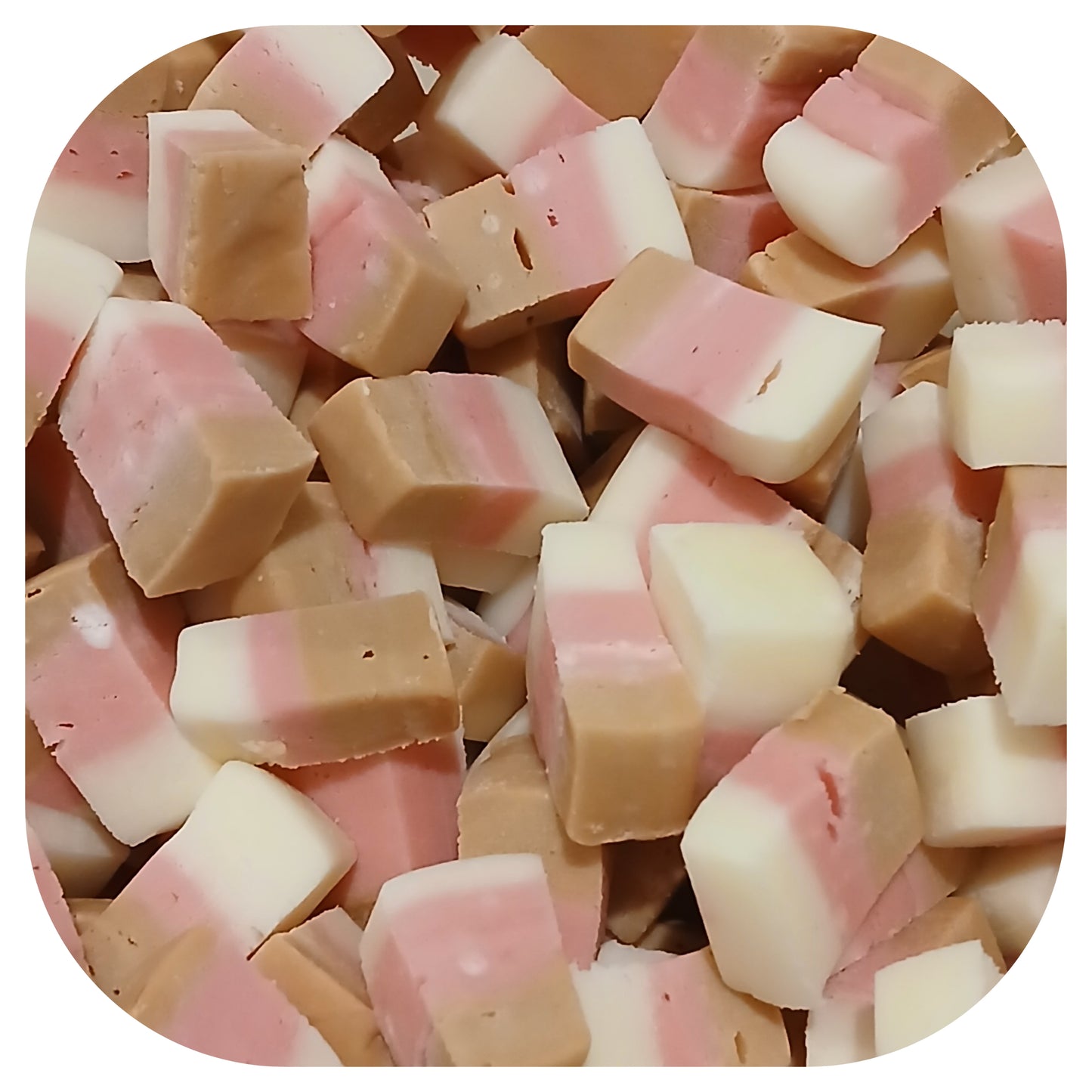 Neapolitan Fudge